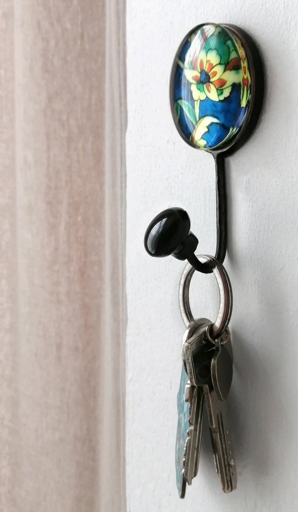 Key's on a key hook. A decluttered home.