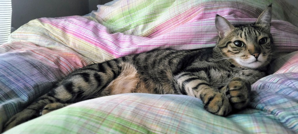 Products I *Really* Like